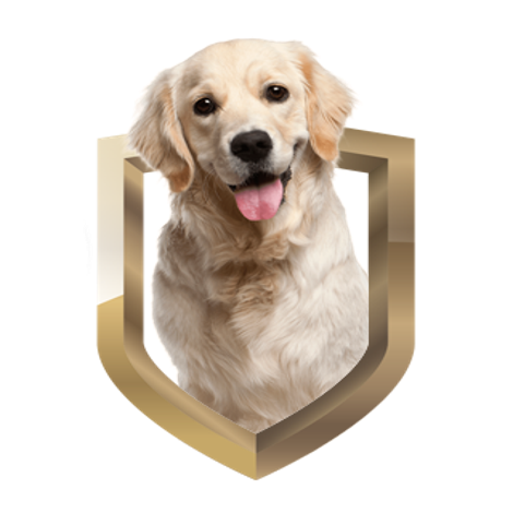 TopDogMarket