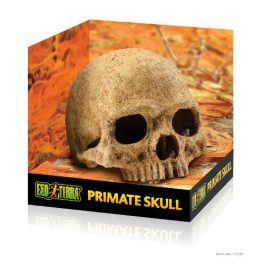   Exo-Terra Primate Skull - főemlős koponya formájú búvóhely hüllők részére (12cm)