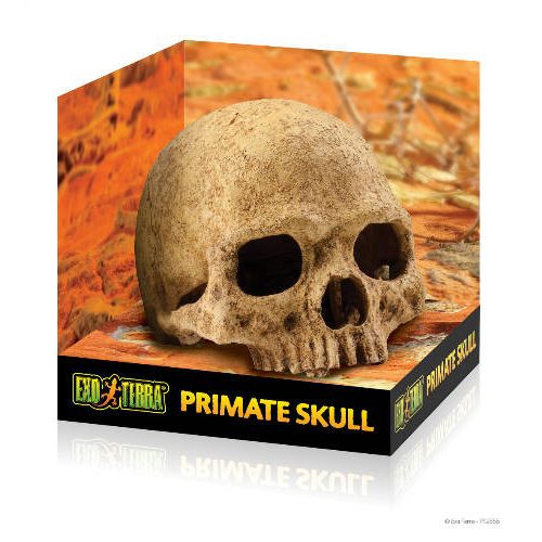  Exo-Terra Primate Skull - főemlős koponya formájú búvóhely hüllők részére (12cm)
