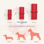 KONG DENTAL STICK (M)