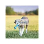 KONG® Puppy Goodie Bone™ kölyök kutyáknak csont alakú játék