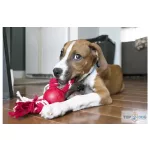 Kong® Toy labda kötéllel 520474