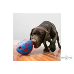Kong® Toy Rewards Wally Blue & Red 522553