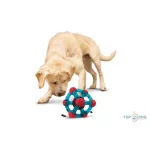 Kong® Toy Rewards Tinker Cube kék L 523415