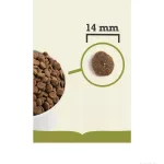 ACANA LAMB & APPLE DOG 6kg