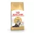 Royal Canin 400gr Persian Adult