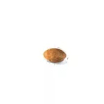 Royal Canin 400gr Persian Adult