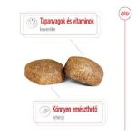Royal Canin Giant Adult 15kg  (44 kg feletti kutyáknak)