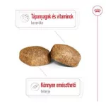 Royal Canin Giant Adult 4kg  (44 kg feletti kutyáknak)