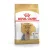 Royal Canin Yorkshire Terrier Adult  500gr