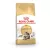 Royal Canin 400gr Maine Coon fajtájú felnőtt macskáknak
