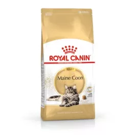 Royal Canin 2kg Maine Coon fajtájú felnőtt macskáknak