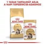 Royal Canin 2kg Maine Coon fajtájú felnőtt macskáknak