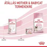 Royal Canin Babycat Milk tejpótló cicáknak 300gr