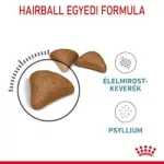 Royal Canin Hairball Care 10kg ( segít csökkenteni a szőrlabda képződést)