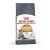 Royal Canin Hair & Skin Care 2kg (érzékeny bőrű és fénytelen szőrű macskáknak)