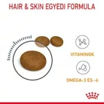 Royal Canin Hair & Skin Care 10kg (érzékeny bőrű és fénytelen szőrű macskáknak)