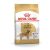 Royal Canin Golden Retriever Adult 12kg