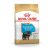 Royal Canin Yorkshire Terrier Puppy 500gr