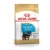 Royal Canin Yorkshire Terrier Puppy 1,5kg 