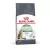 Royal Canin Digestive Care 2kg (emésztőrendszeri érzékenységre)