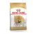 Royal Canin 1,5kg Pug Adult Fajtatáp Mopsz Felnőtt kutyáknak