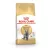 Royal Canin 2kg British Shorthair / Brit rövidszőrű felnőtt macskatáp