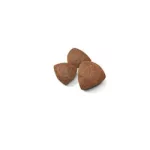 Royal Canin 4kg Medium Starter Mother & Babydog 