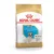 Royal Canin French Bulldog Puppy 3kg 