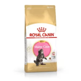 Maine Coon Kitten 2kg kölyök fajtatáp