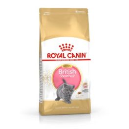   Royal Canin 2kg  British Shorthair Kitten / Brit rövidszőrű kölyök macskatáp