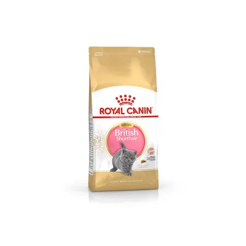 Royal Canin 2kg  British Shorthair Kitten / Brit rövidszőrű kölyök macskatáp