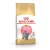 Royal Canin 2kg  British Shorthair Kitten / Brit rövidszőrű kölyök macskatáp