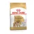 Royal Canin Pomeranian Adult 500gr 