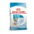 Royal Canin 4kg MIni Starter (1-2 hónapos korig indító táp/ Szukáknak a vemhesség és a szoptatás során)