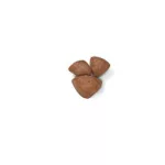 Royal Canin 4kg MIni Starter (1-2 hónapos korig indító táp/ Szukáknak a vemhesség és a szoptatás során)