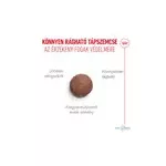 Royal Canin 2kg AGEING STERILISED 11+ 