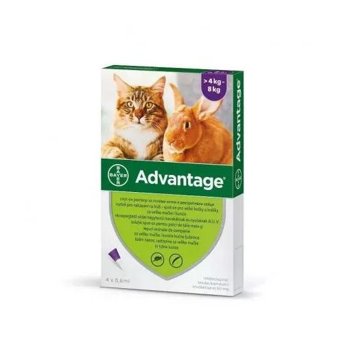 Advantage spot on macskák és nyulak részre 4-8kg ig (1 pipetta) nyitott dobozból