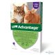 Advantage spot on macskák és nyulak részre 4-8kg ig (1 pipetta) nyitott dobozból