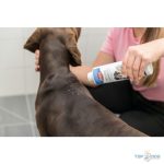 Száraz sampon 200gr TRX 29182