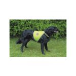 BIZTONSÁGI MELLÉNY KUTYÁNAK M 32CM TRX 30082