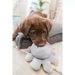 Plüss Hangulat polip 19cm TRX 35928