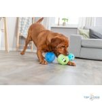 Plüss labda 1db /10cm TRX 36153