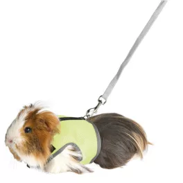 Hám pórázzal rágcsálóknak 18-25cm/ 1, 2m TRX 61512