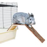 Fa híd 63 × 18 × 15 cm TRX 62122