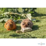 Trixie Carrot, grass - répa fűből 20cm/6cm TRX61829