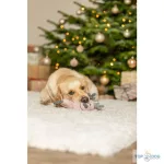 TRX Xmas reindeer with rope-Xmas játék Plüss szarvas, kötélen, 47cm TRX92005