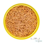 JBL PRONOVO RED INSECT STICK S 100ml (aranyhalaknak)