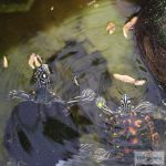 JBL PROTERRA Crustarus - teljes értékű táplálékkeverék (rák,hal,garnéla és stick) vízi- és tavi teknősök számára (250ml/45g)