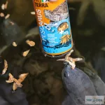 JBL PROTERRA Pescarus - kiegészítő eleség (egész hal, garnéla) mocsári és vízi teknősök részére (250ml/36g)